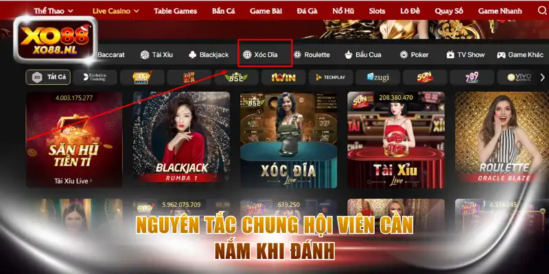 Nguyên tắc chung hội viên cần nắm khi đánh