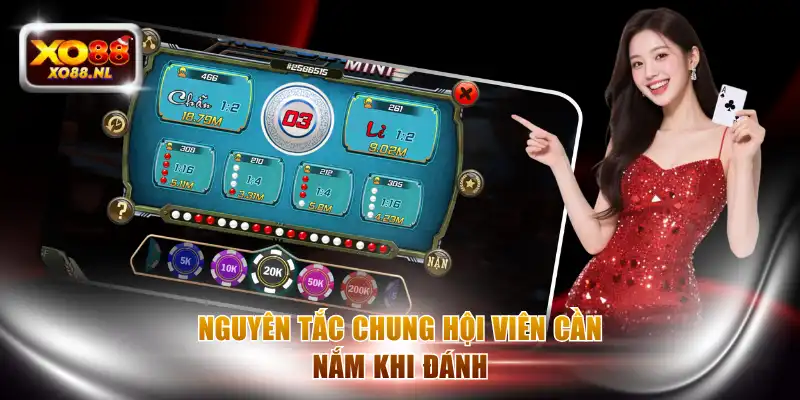 XO88 đề ra chính sách bảo mật với sự tối ưu